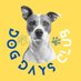 Dog Days Club (@dogdaysclub) Twitter profile photo Dog Days Club (@dogdaysclub) Twitter profile photo