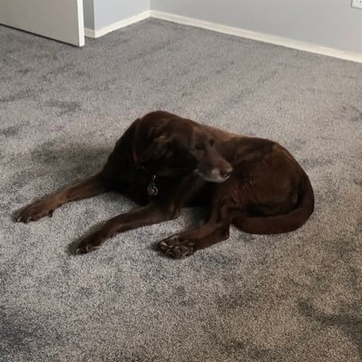 vrose09's profile picture. 