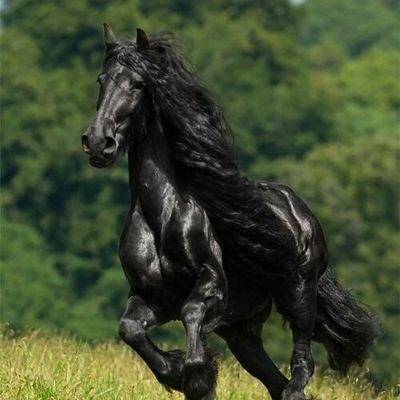 stefan69466760's profile picture. muchas