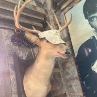 Tyler McClure (@txsylvnynrngr03) 's Twitter Profile