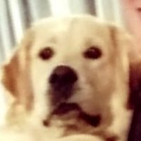 Sematic (@sematicfn) 's Twitter Profile