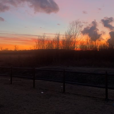 LBuKnoWmE41's profile picture. 