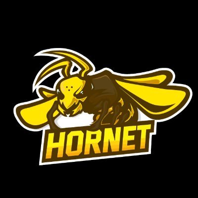 BCS_Hornet Profile Picture