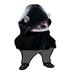 ๐ฐ๐บ๐
๐ป๐ฐ (@lxf77) Twitter profile photo ๐ฐ๐บ๐
๐ป๐ฐ (@lxf77) Twitter profile photo