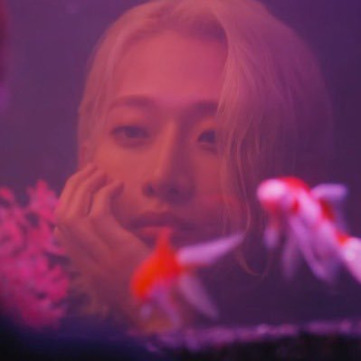 ㅤㅤㅤㅤㅤㅤㅤㅤㅤ🌸ʸᵒᵘʳ ˡᵒᶜᵃˡ ᶜᵒᶠᶠᵉᵉ ʷᵒʳᵏᵉʳ ᵃⁿᵈ ᵃʳᵗ ˢᵗᵘᵈᵉⁿᵗ💫
ㅤㅤㅤㅤㅤㅤㅤ𝖖𝖚𝖔𝖉𝖆𝖒 𝖉𝖎𝖊 𝖈𝖆𝖚𝖘𝖆𝖒 𝖆𝖒𝖔𝖗𝖎𝖘 𝖗𝖊𝖕𝖊𝖗𝖎𝖊𝖙
ㅤㅤㅤㅤㅤㅤㅤㅤㅤㅤㅤㅤㅤㅤ