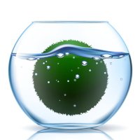 marimo (@marimonft_life) 's Twitter Profile