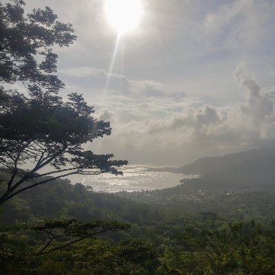 tafurblues's profile picture. Filósofo y abogado.