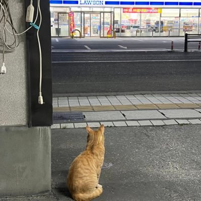 r59j348en4d's profile picture. 釣り、飲み歩き、ハイラックスピックアップ好き 今年から投資デビュー 脱サラして農家やりたい食欲旺盛オヤジ