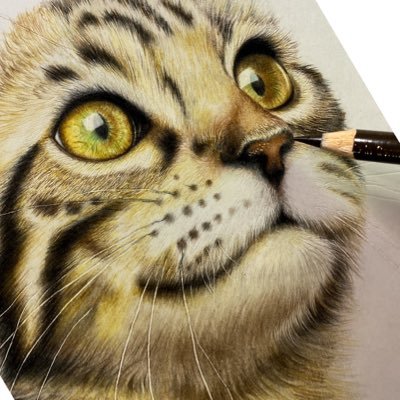 色鉛筆で主に猫の絵を描いています¨̮ フォロー、リツイート、いいね、いつもありがとうございます！ 普段はWebデザインやDTPデザインもするフリーのFront-End Engineerで、保護猫NPO団体様のパンフレット制作ボランティアなども行なっています。 https://t.co/1UaYQh1xY4