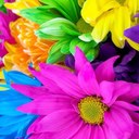 LoAnn Tran - @loanntran72 - Twitter