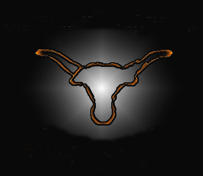 These days I eat, drink and dream SharePoint, where as I bleed burnt orange all the time. A Longhorn for life!!!