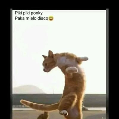 FabianLesingo's profile picture. Loving God first priority