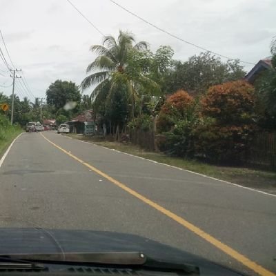 insardin75's profile picture. 