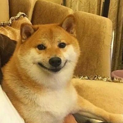 iambad_boy1's profile picture.