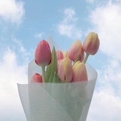 hayalshehri's profile picture. لا شيء.. إلا الله🤍