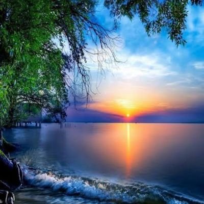 limdanny977's profile picture. 