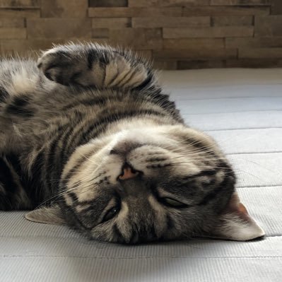 iR9iQ0ruXZ6Mzm7's profile picture. 15年ぶりにエターナルゾーンやりだした!!めちゃ楽しいけど新規様いねぇぇ💦💦