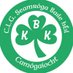 Ballyhale Shamrocks Camogie Club (@kbkcamogie) Twitter profile photo