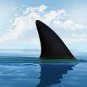 cryptofin1984's profile picture. #AI2Earn 
@CryptoGPT_org