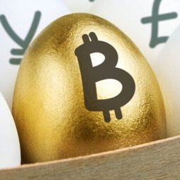 cryptoegg1984's profile picture. 