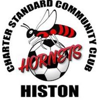Histon Hornets FC (@histonhornets_) 's Twitter Profile