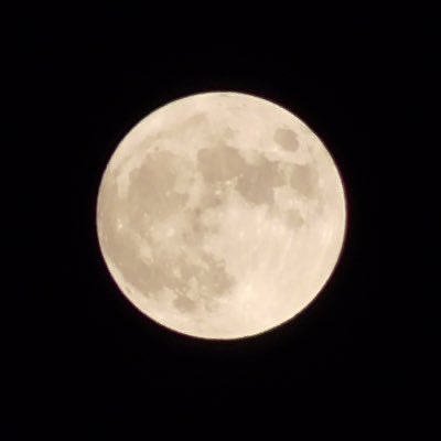 나달너달🌕さんのプロフィール画像