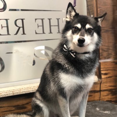 Native⛵️SoCal 🏄🏻♀️ Grateful 🌍Traveler 🙏🏻 #KleeKai Mom 🐕 USNavy Brat&xWife 🇺🇸 “Democracy is Not a Spectator Sport