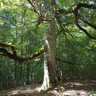 Recerca en ecofisiologia vegetal | Plant ecophysiologist and isotopist