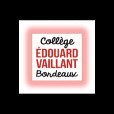Collège REP à Bordeaux : Un college «réhabilité», des professeurs et personnels très investis, de multiples projets,…