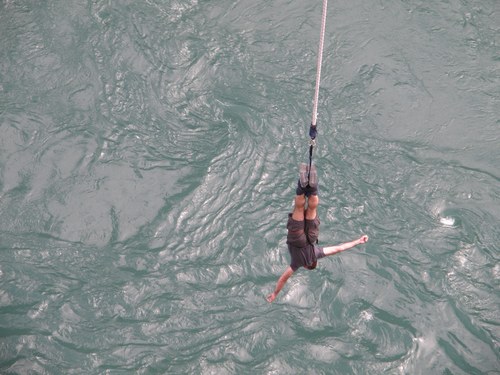 geheha's profile picture. 