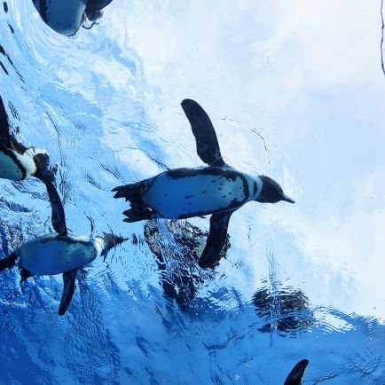 prfm_plasma02's profile picture. Perfumeが好き♥基本箱推し✨PTA会員2014.09〜ライブ参戦2012.01JPNSSA〜⭐LEVEL26
Perfume好きな人とつながりたいです😆
ネビュラ後編①②