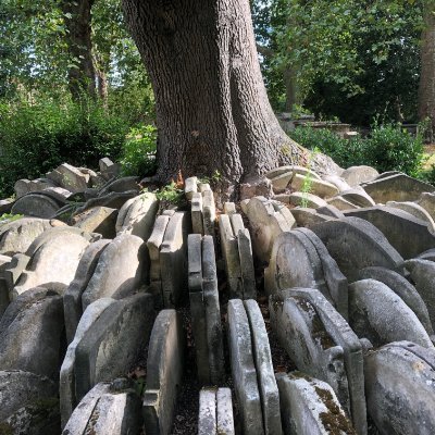Love trees. BSc Hons, C.Env, F.Arbor.A, MICFor, MEWI, AARC, APAEWE, VETcert Also likes music: https://t.co/5k0pvbWcp5