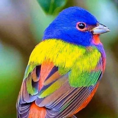 wonderfuldawan3's profile picture. ４月から在外派遣中。よろしくお願いします。