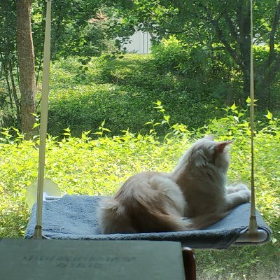 liyuxuan2920's profile picture. 