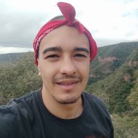 Guilherme Ferreira (@raduke) 's Twitter Profile