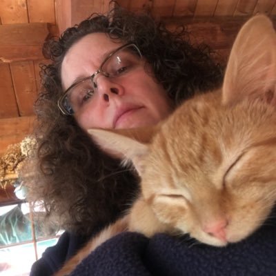 pmottshaw's profile picture. a graphic designer who codes | Farming