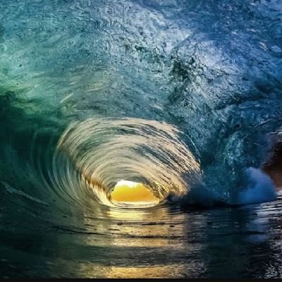 nondyi's profile picture. 🐛🦋