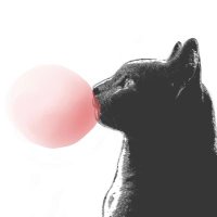 がむねこ (@gamuneko_) 's Twitter Profile Photo がむねこ (@gamuneko_) 's Twitter Profile Photo