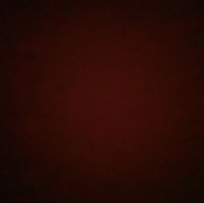 brexrr's profile picture. idk