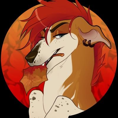Sotisさんのプロフィール画像