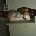 elisha ware smith - @elisha_ms - Twitter