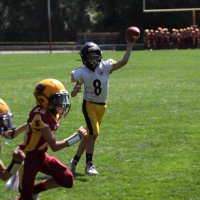 Logan Imsland (@loganimsland) 's Twitter Profile