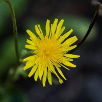 إيمان (@eman_2022_) 's Twitter Profile