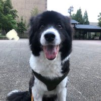 ゆずまま (@enchan0210) 's Twitter Profile