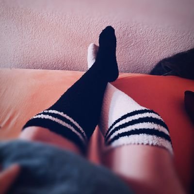Royal_Foxy's profile picture. 🦊 ~ 21 ~ Programming :3 ~ Gayming ~ Femboy in training ~ DMs open, don't be weird ~ Nerdy ~ Taken type shii