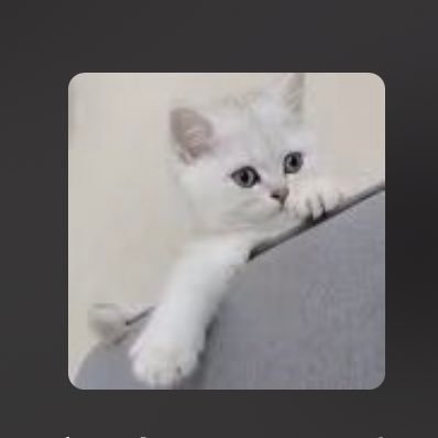 a454448191's profile picture. hello，heihei