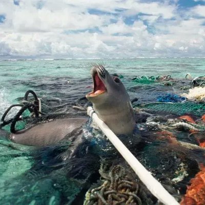 GuidoLupaz's profile picture. A maladaptive perfectionist