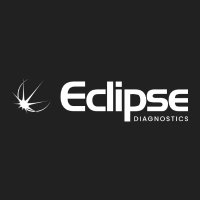 Eclipse Diagnostics(@EclipseDiag) 's Twitter Profile Photo
