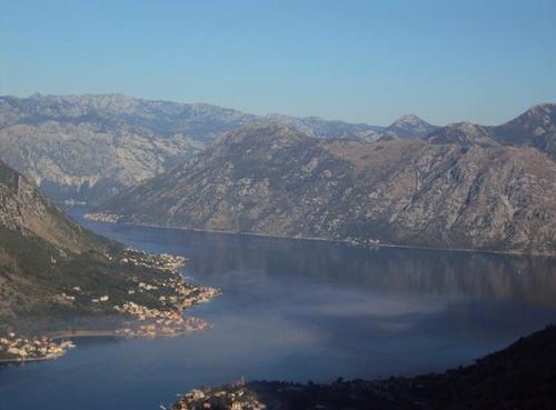 bozo_bozidar's profile picture. 