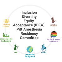 IDEA Pitt (@ideapitt) 's Twitter Profile